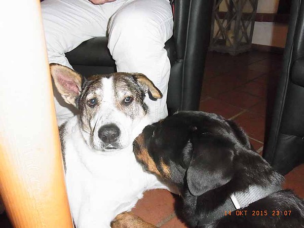 med_- Wirklich nicht! .jpg (600 x 450)